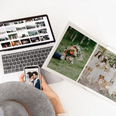 Album Design Services