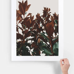 Large Format Prints